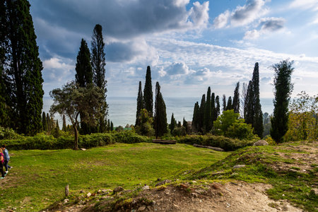 nature in Abkhazia near New Athos in summerの写真素材