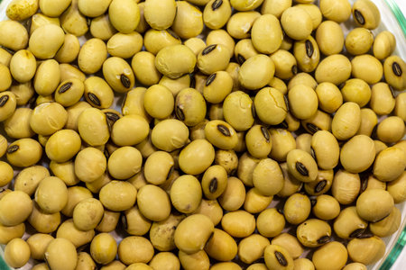Soy seeds in a petri dish in the lab