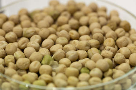 Soy seeds in a petri dish in the labの写真素材