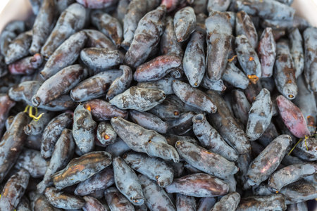 Fresh blue honeysuckle, also known as Honey berry, a background of blue berries with green leaves. Fashionable tinting.の写真素材