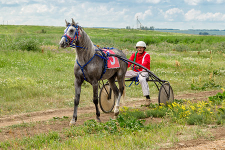 Kazan, Republic of Tatarstan, Russia - July 3, 2021: Sabantuy, the peoples Tatar fieldwork holidayのeditorial素材