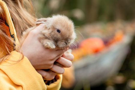 Fluffy little fox rabbit in childrens hands on an autumn backgroundの写真素材