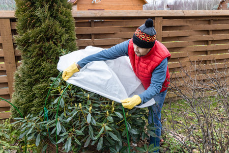 Winter Protection for garden, winter shelter for garden plants, shelter rhododendrons