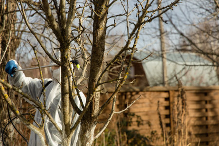 Using chemicals in the garden orchard gardener applying an insecticide a fertilizer to his fruit...