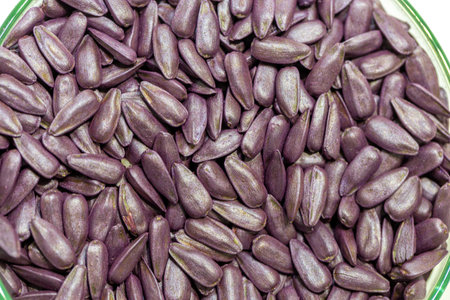 Purple sunflower seeds in a Petri dishの写真素材
