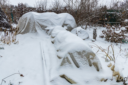 Winter protection for the garden, winter shelter for garden plants, shelter for rhododendrons, rosesの写真素材