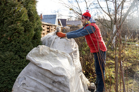 Winter Protection for Garden, winter shelter for garden plants, shelter rhododendronsの写真素材