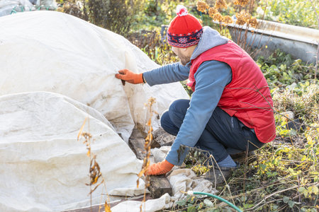 Winter Protection for Garden, winter shelter for garden plants, shelter rhododendronsの写真素材