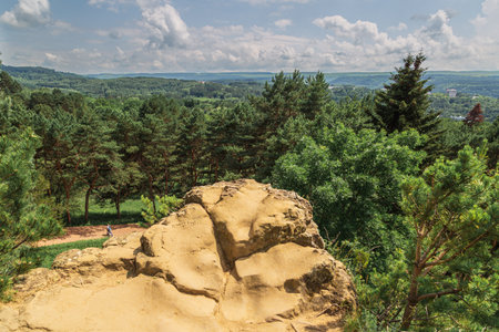 Rose garden in National Parkの写真素材
