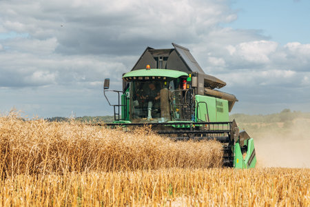 Kaliningrad, RUSSIA - July 27, 2022: harvesting winter rapeseed with a Deutz-Fahr combine