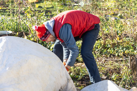 Winter Protection for Garden, winter shelter for garden plants, shelter rhododendronsの写真素材