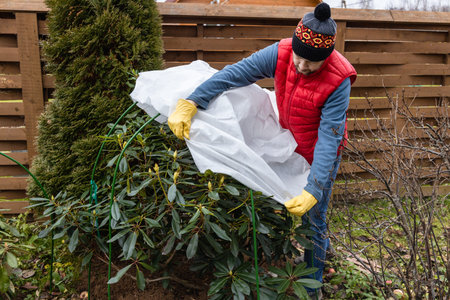 Winter Protection for garden, winter shelter for garden plants, shelter rhododendrons