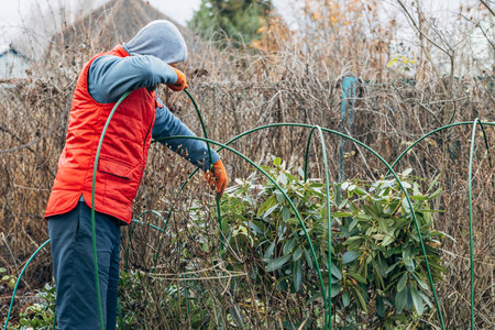 Winter Protection for Garden, winter shelter for garden plants, shelter rhododendrons