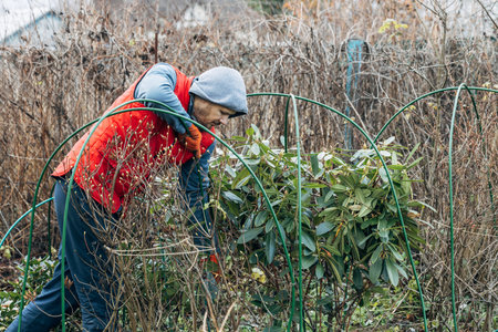 Winter Protection for Garden, winter shelter for garden plants, shelter rhododendrons