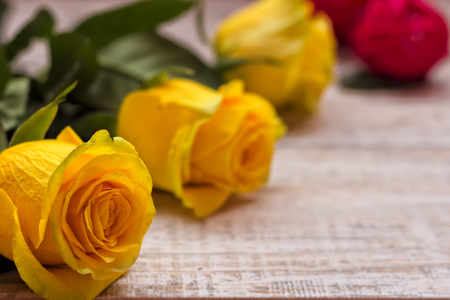 Bright colors. Greeting Card for Women's Dayの写真素材