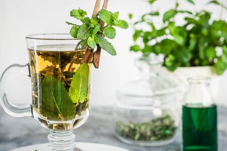 Soothing tea with fresh and fresh mint and mint syrup. A warm drink for the fall and winter seasons. The concept of caring for the emotional state.の写真素材
