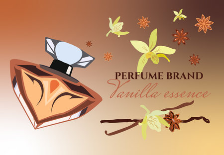 womens perfume with different scents, vanilla extract, designer bottleのイラスト素材