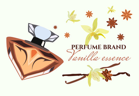 womens perfume with different scents, vanilla extract, designer bottle.のイラスト素材