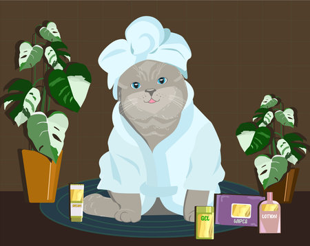 Cute grooming kit, jars of tissues for the daily routine. Cute cat in robe. Home relax after bathのイラスト素材