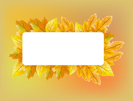 autumn background. Frame for text. Thanksgiving and Harvest Day. Leaf fall horizontal banner. Vector illustration, Watercolor maple leaves border.の写真素材