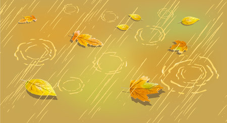 Autumn puddle drops Rain Leaves. Beautiful wallpapers for Banners, Posters on the autumn theme. atmospheric nature.の写真素材