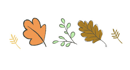 Hand drawn vector autumn leaves set. Design for poster, textiles, print and website. Cute styleのイラスト素材