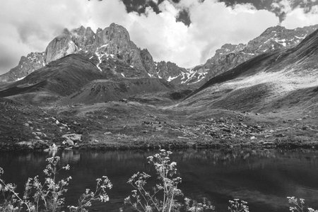 flowers on the background of lake, rocks and mountains. epic sky with clouds, black and white photo...