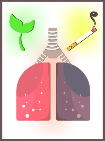 Healthy and unhealthy lungs simple vector illustration. Educational poster against smokingのイラスト素材