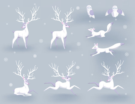 Winter animals collection. Set of flat minimal vector illustrations of polar Deer different poses. Fox, Owl. Cute cards for memory game. Drawing white elements isolatedのイラスト素材
