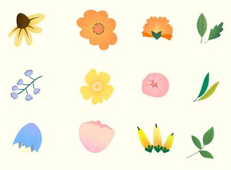 Collection of spring colorful flower elements vector. Set floral of wildflower, leaf branch, foliage on white background. Hand drawn blossom illustration for decor, easter, sticker, clipart, print.のイラスト素材