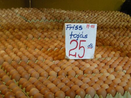 eggs for sale in a Budapest marketの写真素材