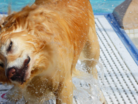 Shake it offの写真素材