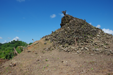 An ancient pagoda broken up into many brickson top of a hill that is being reclaimed by nature and a tree at the top of it in Mrauk U, Rakhine State, Myanmarの写真素材