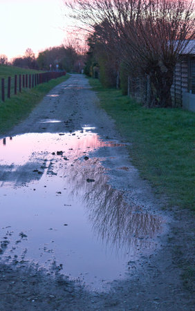 puddle on the road in the countryside in the evening light.の写真素材