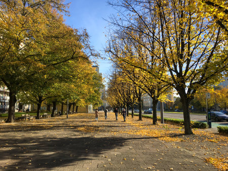 Beautiful autumn day at Karl-Marx-Allee in Berlin on a sunny day in October. Golden Fall Colours.のeditorial素材