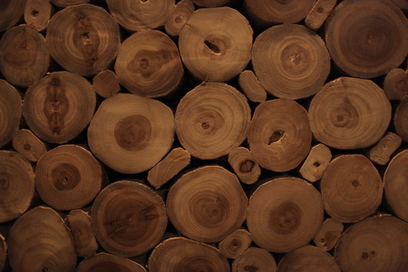 log woodの写真素材