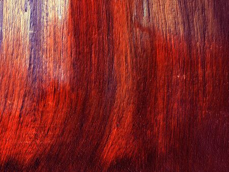 study in oilの写真素材