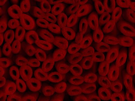 Cellsの写真素材