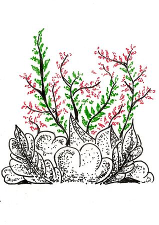 Sketch 15 - Micro Gardenの写真素材