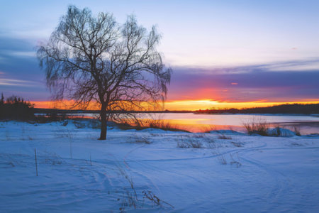 A photo of a serene winter landscape during sunsetの写真素材