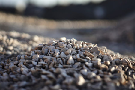a pile of small, light-colored rocks or pebbles