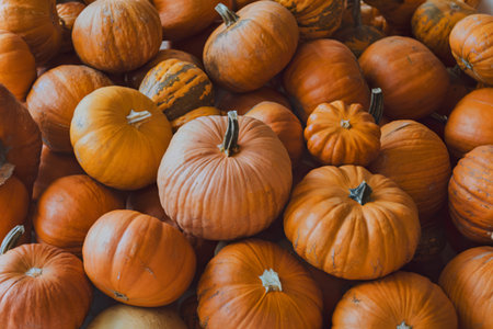 A photo of a lot of pumpkinsの写真素材
