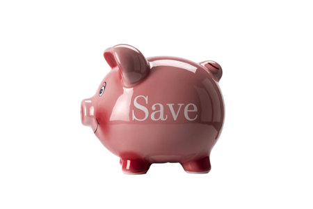 a classic ceramic piggy bankの写真素材