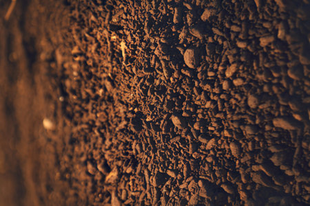 A photo of a close-up view of a textured surfaceの写真素材