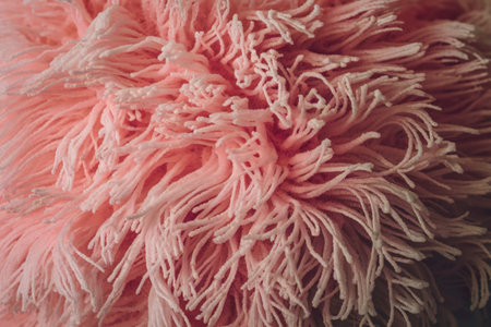 a pinkish-red, fluffy, and textured material.の写真素材