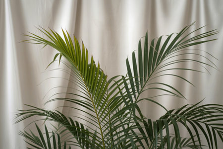 a close-up of vibrant palmの写真素材