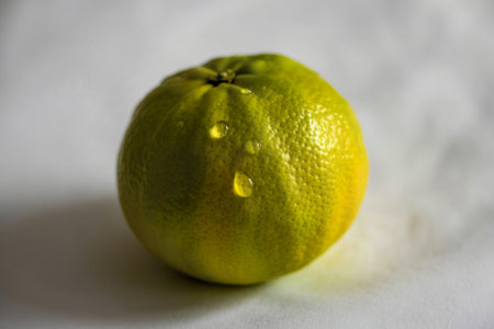 A photograph of a vibrant green orangeの写真素材