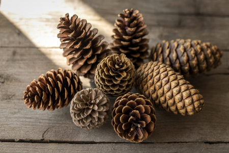 pine cones on a wooden background