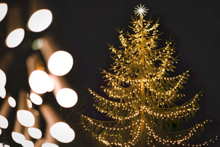 A photo of a tall, illuminated Christmas treeの写真素材