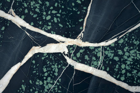 a marbled texture with deep black and white veinsの写真素材